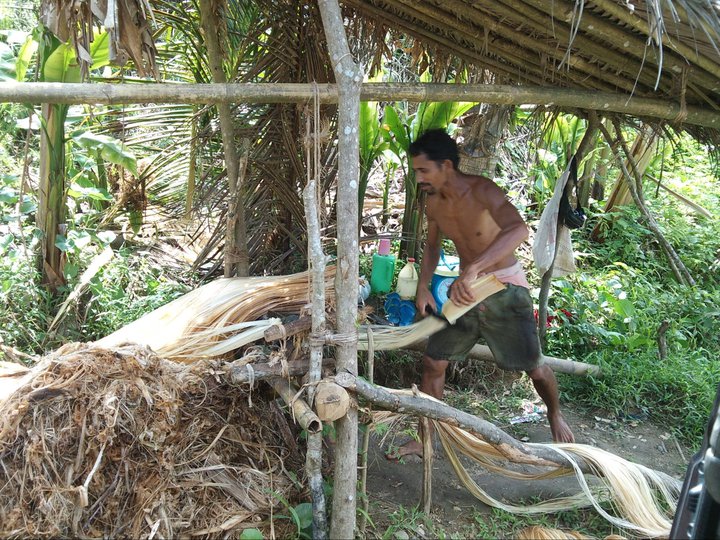 Abaca exports down 17.3 in JanAug